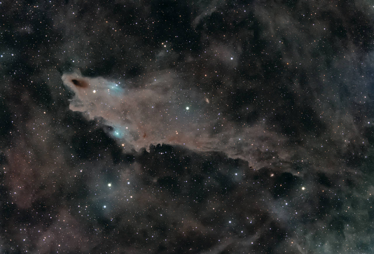 Dark Shark Nebula - LDN 1235 & Expo PGC 67671