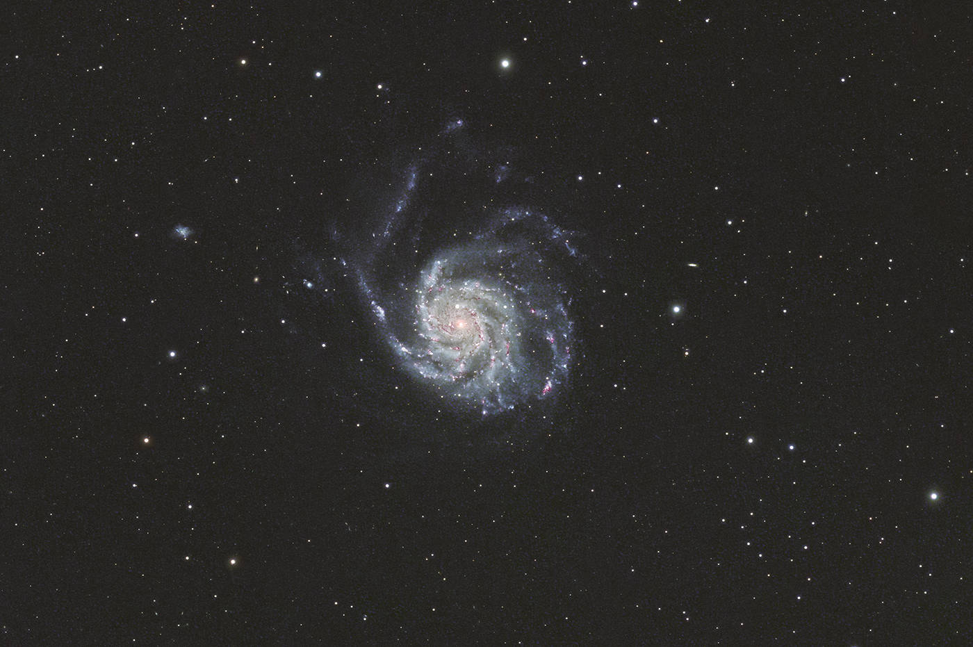 Pinwheel Galaxy - M 101
