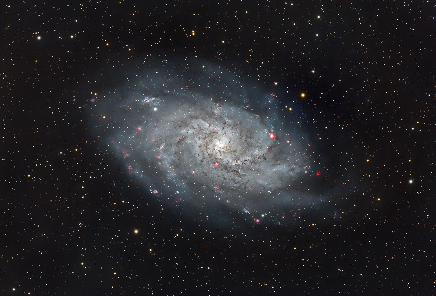 Triangulum Galaxy - M 33