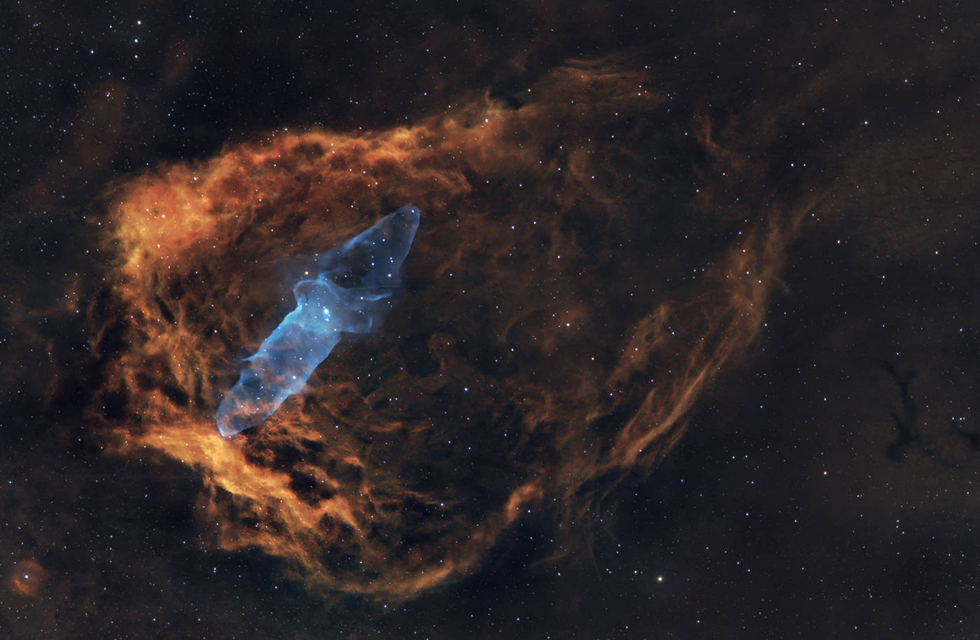 The Flying Bat & Giant Squid Nebula - SH2-129 & Ou4